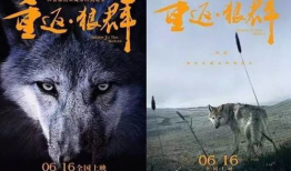 狼群电影,铁血征程，共赴生死