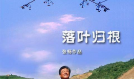 落叶归根电影,寻根之旅，情感共鸣的岁月流转