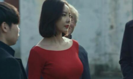 韩国电影屠夫小姐,刀锋下的复仇与救赎
