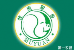 牧原股份,中国农业龙头企业的崛起之路