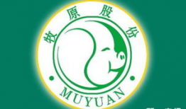 牧原股份,中国农业龙头企业的崛起之路